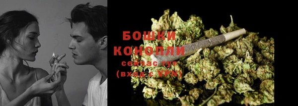 крисы Гусь-Хрустальный