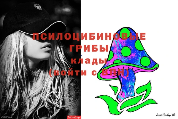 скорость Гусев
