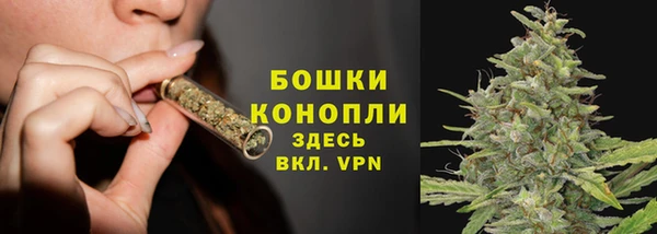 скорость Гусев
