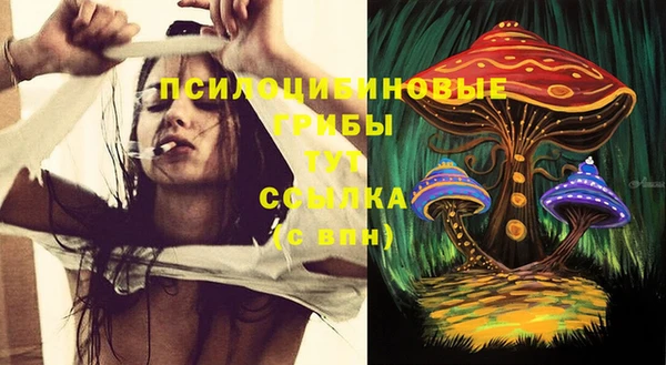 скорость Гусев