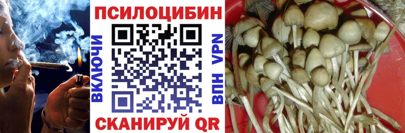 мориарти формула  Чебоксары  Галлюциногенные грибы мухоморы  продажа наркотиков 